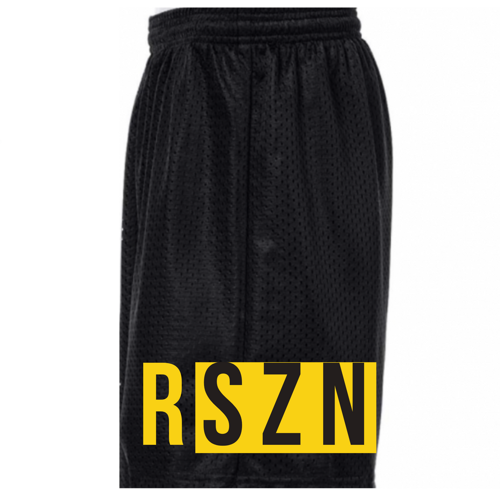 STLRSZN Mesh Shorts